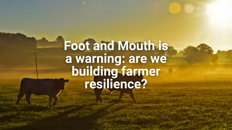 Website - Featured image Foot and Mouth is a warning