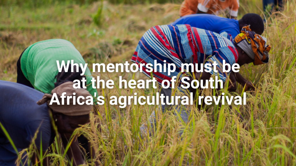 Why mentorship must be at the heart of South Africa’s agricultural revival